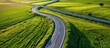 Aerial view captures a scenic highway winding through a lush green wheat field. Highway in a rice green wheat field.