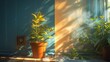 Potted Plant by Blue Door