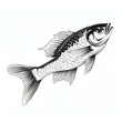 Hand drawn black white fish illustration
