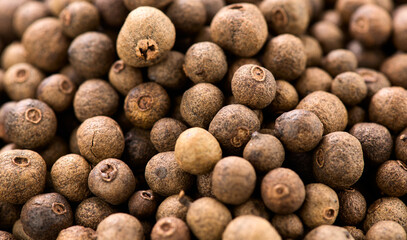 Wall Mural - Pile of allspice, black peppercorn background. Jamaica pepper, allspice peppercorns or myrtle pepper backdrop, close up. Aromatic seasoning Pepper peas top view