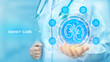 Kidney care. Kidneys icon. Treatment of kidneys diseases. Urology, nephrology clinic medical banner. Doctor holding in hand Kidney icon and medicine icons network connection. Vector illustration.