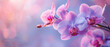Elegant purple orchids with a soft bokeh background, highlighting beauty and tranquility.