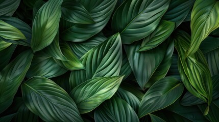  A close-up picture of vibrant green leaves, showcasing the natural beauty and intricate patterns of plant foliage in nature