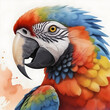 Close up of colorful macaw parrot face illustration.