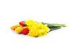 Daffodils and tulips.
