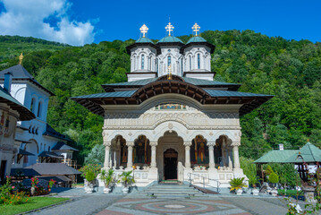 Poster - Summer day at Lainici Monastery in Romania