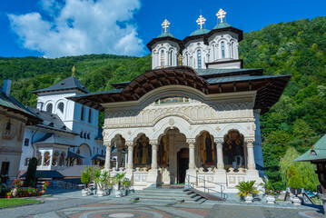 Poster - Summer day at Lainici Monastery in Romania