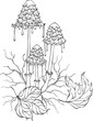 Monochrome ink mushrooms
