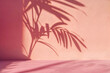 Close-up of palm leaf shadow on a textured pink wall background. High quality photo