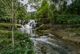 Fototapeta Zwierzęta - beautiful Mexican cascading waterfalls.