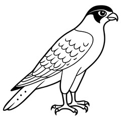 Sticker - sparrowhawk line art vector