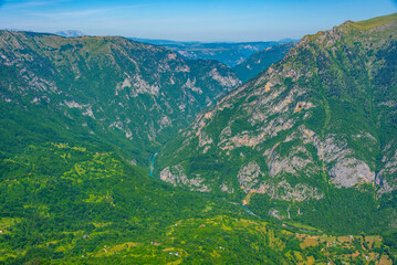 Wall Mural - Tara river valley viewed from Durmitor national park in Montenegro