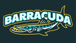 Barracuda Sport Mascot Logo Design
