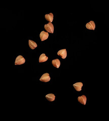 Wall Mural - Buckwheat isolated on a black background. Close-up