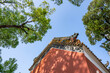 Relief painted eaves and tile ridges of the ancient building of Guangzhou Agricultural Institute