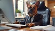 dog in suit working with computer in office