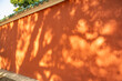 Guangzhou Agricultural Institute ancient building palace wall tree shadow landscape