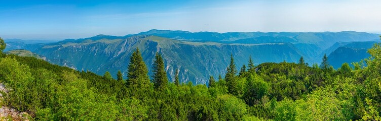 Wall Mural - Tara river valley viewed from Durmitor national park in Montenegro