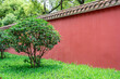 Spring green trees and red wall, Chinese garden landscape