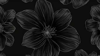 Black flower pattern line sketch style background