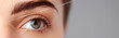 The innocence of a child's eye, rimmed with delicate lashes, wide and curious, reflecting a complex, multicolored iris. Banner. Copy space