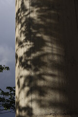 Poster - Concrete bridge in the suburbs of Bilbao