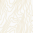 Seamless wooden fiber pattern. Light golden wood, grain texture. Dense lines. Abstract background. Vector illustration