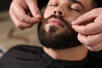 Canvas Print - Professional barber working with client's mustache in barbershop, closeup