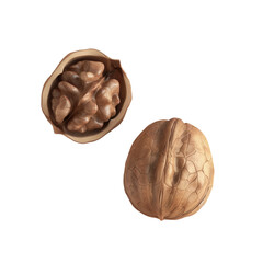 Wall Mural - Half-eaten walnut in a bowl with another walnut