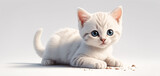 Fototapeta  - Adorable and cute fluffy white cat playing on a white background
