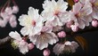 stunning, the soft hues of the flowers against a backdrop of pink cherry blossom cherry blossom season with a  generous copy space,