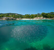 Spain beach coastline in summer with anchovies fish underwater in the Atlantic ocean, split view half over and under water surface, natural scene, Galicia, Rias Baixas, Cangas