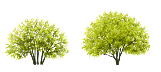 Wall Mural - vertor set of green tree,plants side view for landscape elevations,element for backdrop,eco environm