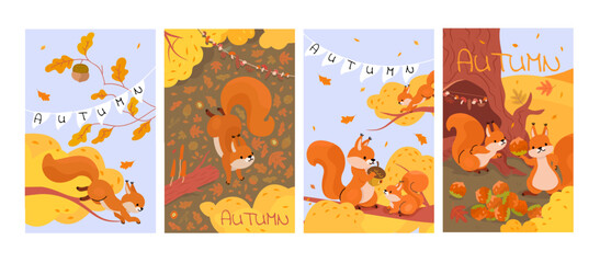 Sticker - Cards with forest squirrel. Cartoon squirrels in autumn. Wild animal characters sorting and storing food, eating nuts and jumping, nowaday vector banners