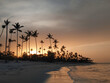 Evening sea shoreline of Punta Cana with palm tree silhouettes and setting sun. Dominican Republic landscape minimalist picture.