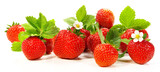 Fototapeta Panele - Strawberry Fruit Panorama - Strawberries with Leaves and Blossoms isolated on white Background