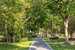 Scenic view of the park with sidewalk. Green trees in beautiful park