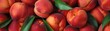Wide angle of peaches in summer, fruits on unique canvas, backdrop, background, banner, text space, peach, fruit, canva, backdrop, banner, text, space, summer, season, gift, healthy, concept, appeal, 
