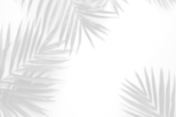 Sticker - palm leaves shadow background overlay effect, transparent shadow of tropical leaves frame 