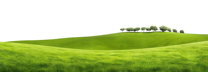 Wall Mural - Rolling green hills adorned with lush trees, cut out