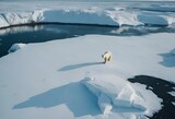 AI generated illustration of a polar bear on a drifting ice floe in the ocean
