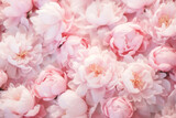 Fototapeta  - Fondo de flores rosas.