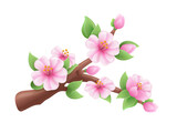 Fototapeta Dinusie - 3d sakura branch. Blossom japanese cherry, bloom fruit tree apricot peaches cherries flowers bud, spring may plasticine realistic elements