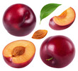 Plum isolated set. Collection of red plums on a transparent background.
