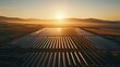 Aerial view of a vast solar farm catching the first light of sunrise rows of photovoltaic panels shining