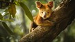 Craft an enchanting image capturing the cuteness of a tree kangaroo sitting in a tree, showcasing its unique arboreal behavior.  