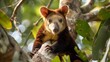 Craft an enchanting image capturing the cuteness of a tree kangaroo sitting in a tree, showcasing its unique arboreal behavior.  