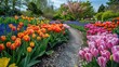 Vibrant and Lush Floral Garden with Diverse Blooming Tulips and Foliage in Serene Spring Landscape