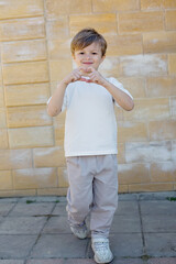 Wall Mural - a young boy stands on a sidewalk in front of a brick wall.