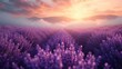 A lavender fields with a soft mist, adding a touch of mystique to the scene. AI generate illustration